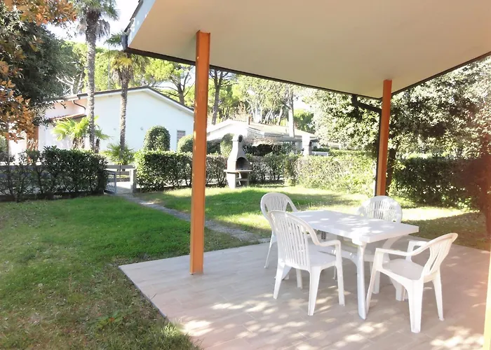 Two Steps From The فيلة Lo Stallone